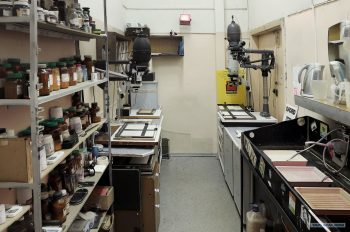 Оборудование для фотолаборатории: баки, кюветы, щипцы и таймеры