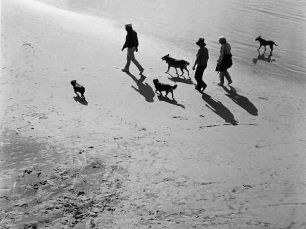 Знаменитые фотографии ХХ века — 1 часть